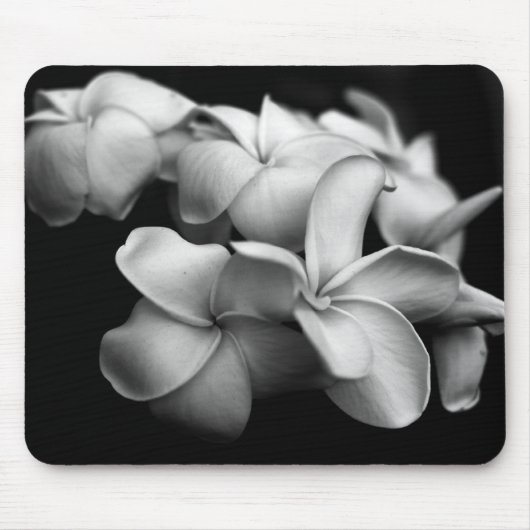 Plumerias Mousepad (Vorne)