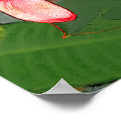 Plumerias Poster (Ecke)