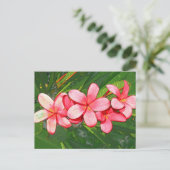 Plumerias Postkarte (Stehend Vorderseite)