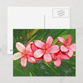 Plumerias Postkarte (Vorne/Hinten)