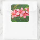 Plumerias Quadratischer Aufkleber (Tasche)