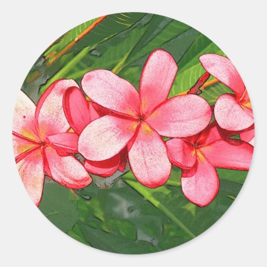 Plumerias Runder Aufkleber (Vorderseite)