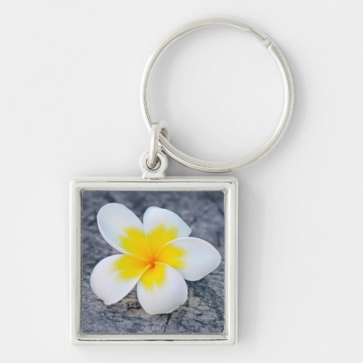 Plumerias Schlüsselanhänger (Vorne)