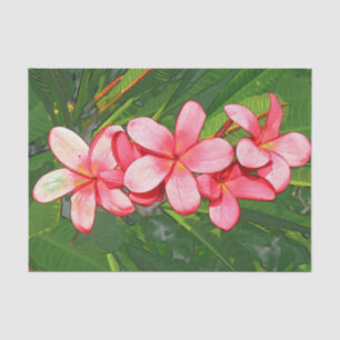 Plumerias Seidenpapier