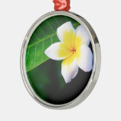 Plumerias Silbernes Ornament (Links)
