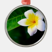 Plumerias Silbernes Ornament (Vorne)