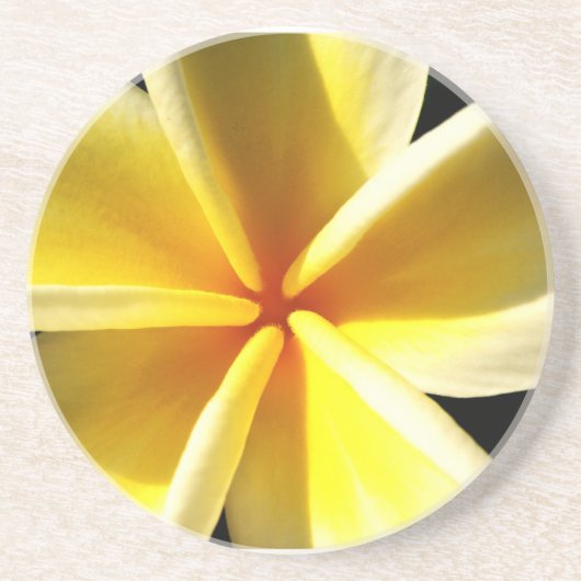 Plumerias Untersetzer (Vorne)