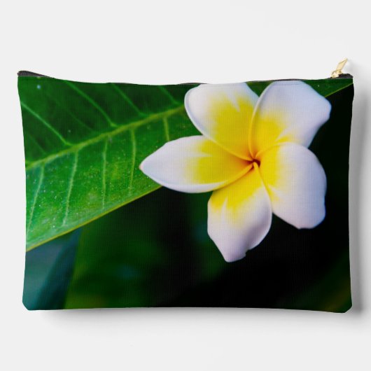 Plumerias Zubehörtasche (Rückseite)