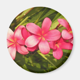 Plumerien Magnet