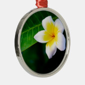 Plumerien Silbernes Ornament (Rechts)