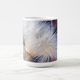 Plumose Anemone - Tasse