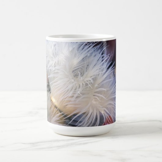 Plumose Anemone - Tasse (Mittel)