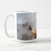 Plumose Anemone - Tasse (Links)