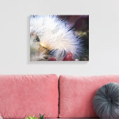 Plumose Anemone - Wrapped Canvas Leinwanddruck (Insitu (Wohnzimmer))