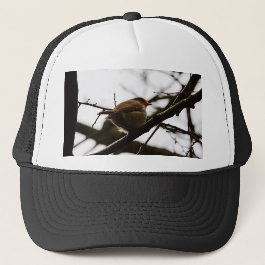 Plump English Robin Truckerkappe (Vorderseite)