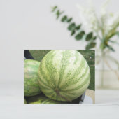 Plump Melon Postkarte (Stehend Vorderseite)