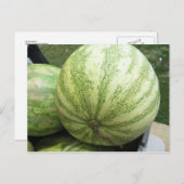 Plump Melon Postkarte (Vorne/Hinten)