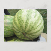 Plump Melon Postkarte (Vorderseite)