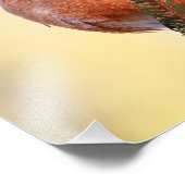 Plump Robin Fotodruck (Ecke)