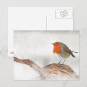 Plump Robin RedBrust Postkarte (Vorne/Hinten)
