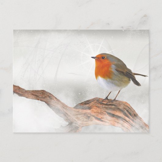 Plump Robin RedBrust Postkarte (Vorderseite)