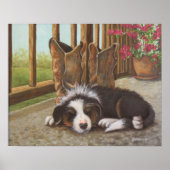 Plumpe verdecktes Poster (Vorne)