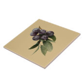 Plums Botanische~Küche ~Wählen Sie irgendeinen Far Fliese (Seite)
