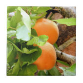 PLUMS FLIESE (Vorderseite)