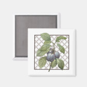 PLUMS MAGNET (Vorderseite/Rückseite)