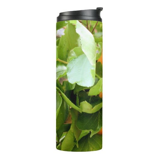 PLUMS THERMOSBECHER (Nach links gedreht)