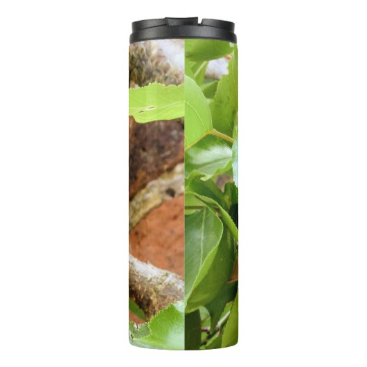 PLUMS THERMOSBECHER (Rückseite)