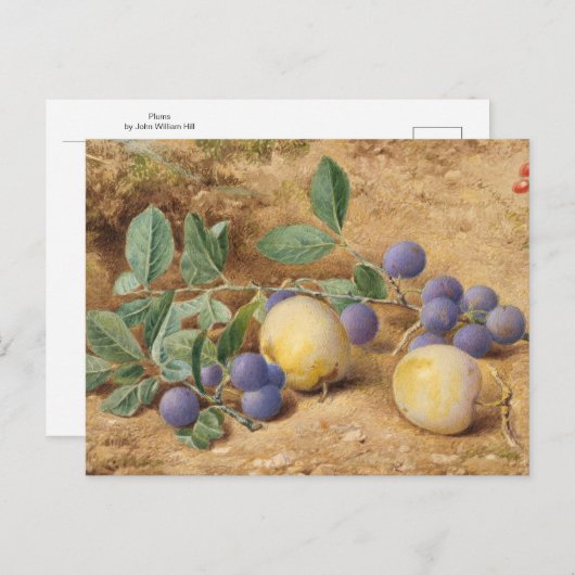 Plums von John William Hill Postkarte (Vorne/Hinten)