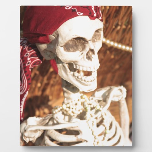 PLUNDER PARTY! FOTOPLATTE (Vorderseite)