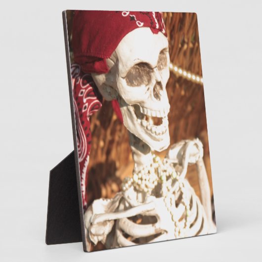 PLUNDER PARTY! FOTOPLATTE (Seite)