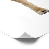 Plünderbild Poster (Ecke)