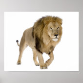 Plünderbild Poster (Vorne)