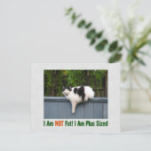 Plus Sized Kitty Postkarte (Stehend Vorderseite)