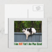 Plus Sized Kitty Postkarte (Vorne/Hinten)