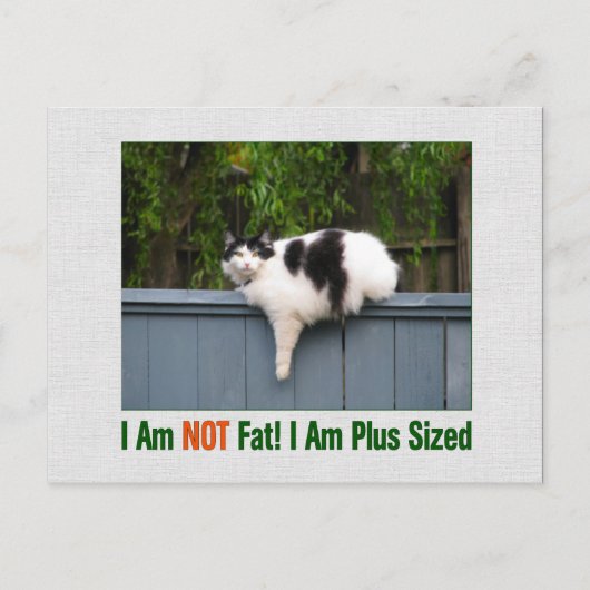 Plus Sized Kitty Postkarte (Vorderseite)