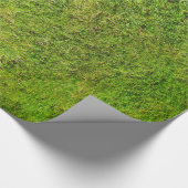 Plüsch-grünes Geschenkpapier (Ecke)