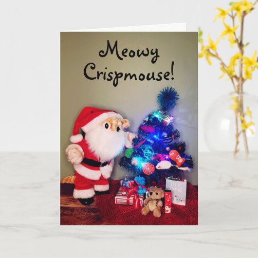 Plush Cat Christmas Karte (Gelbe Blume)