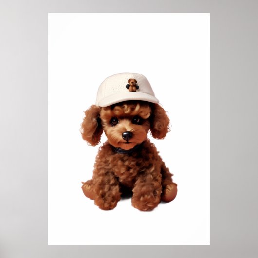 Plush Chocolate Mini Poodle Folder Poster (Vorne)