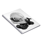 Plush & Paws Notizblock (Rechte Seite)