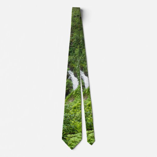 Plush Thunderbird Painterly Neck Tie Krawatte (Vorderseite)