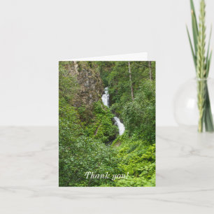 Plush Thunderbird Painterly Vielen Dank Karte