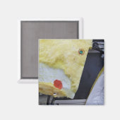 Plushy Junk Magnet (Vorderseite/Rückseite)