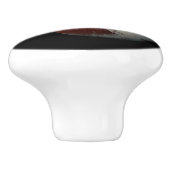 Pluto & Charon 9. oder Zwarf-Planet-Sonnensystem Keramikknauf (Seitenansicht)