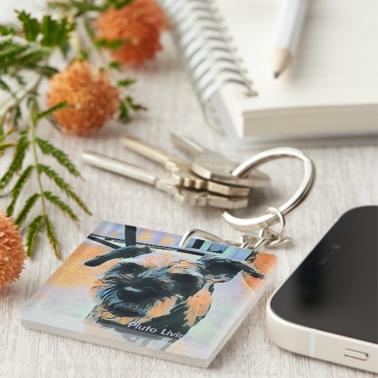 Pluto Schlüsselanhänger (Vorderseite rechts)