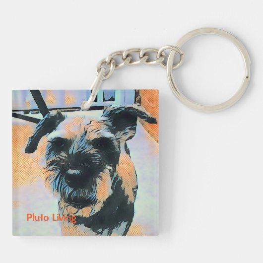 Pluto Schlüsselanhänger (Rückseite)