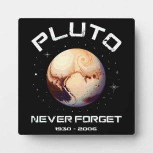 Pluto vergiss nie fotoplatte